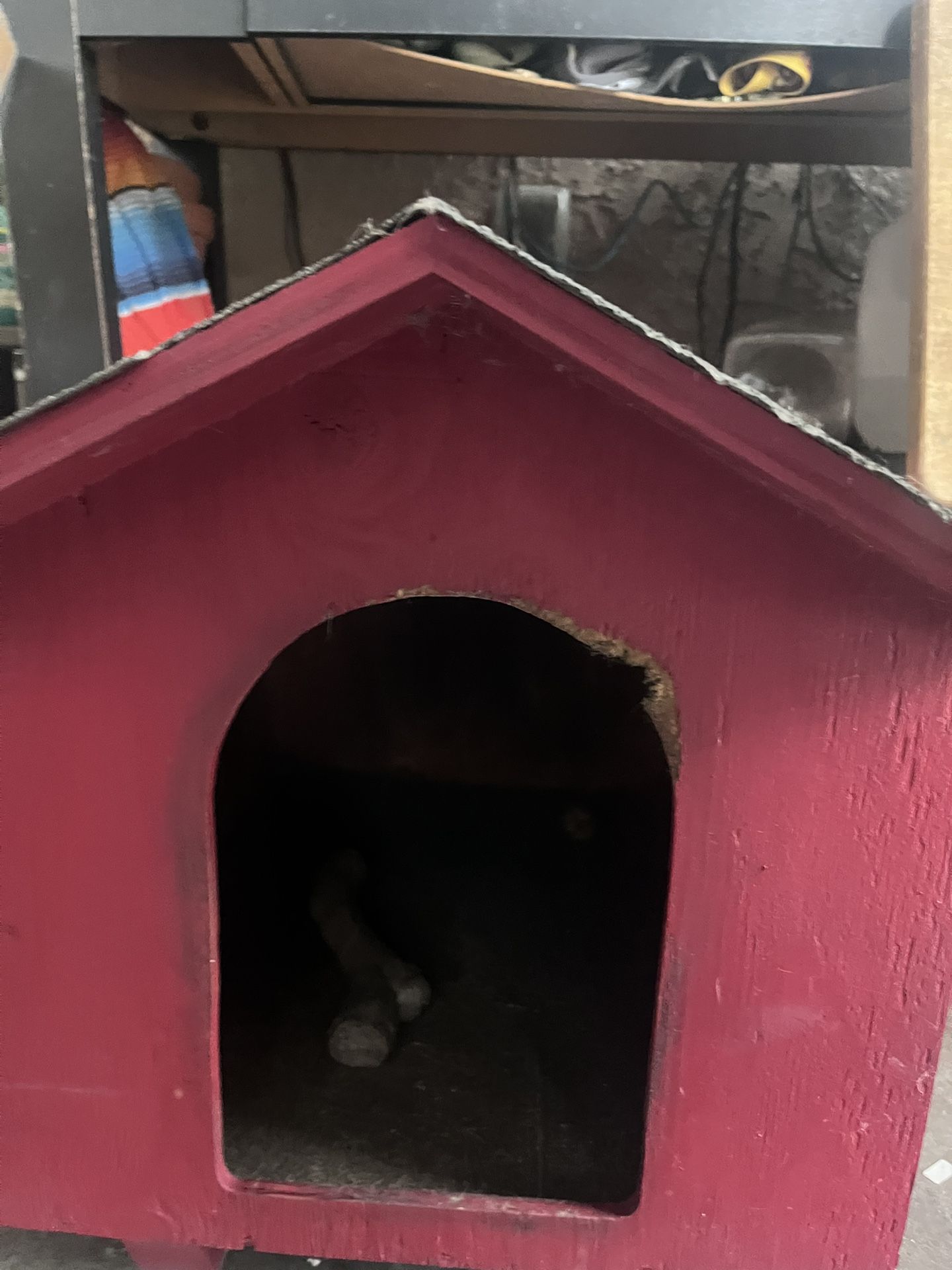 Dog House