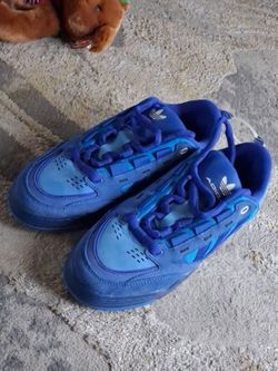 Adidas adi2000 (bold blue)
