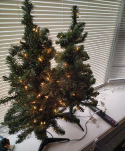 2, 4ft Clear trees