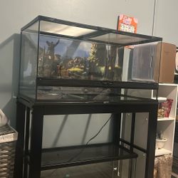 Bearded Dragon 40 Gal Front Open Tank And Stand
