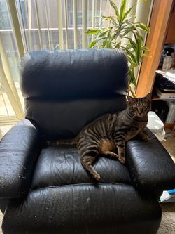 Free black recliner
