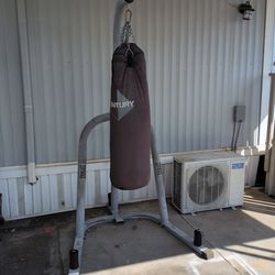 Century heavy bag, everlast stand $90 obo