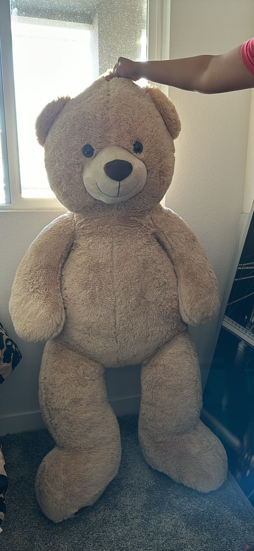 Giant 5 ft Teddy Bear