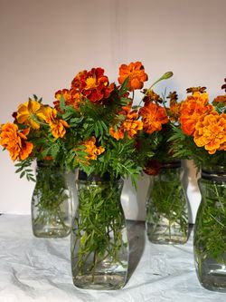 Flor 🌷 de cempasúchil 💐marigolds listos para su altar disponible $15 por florero al sur de Chicago