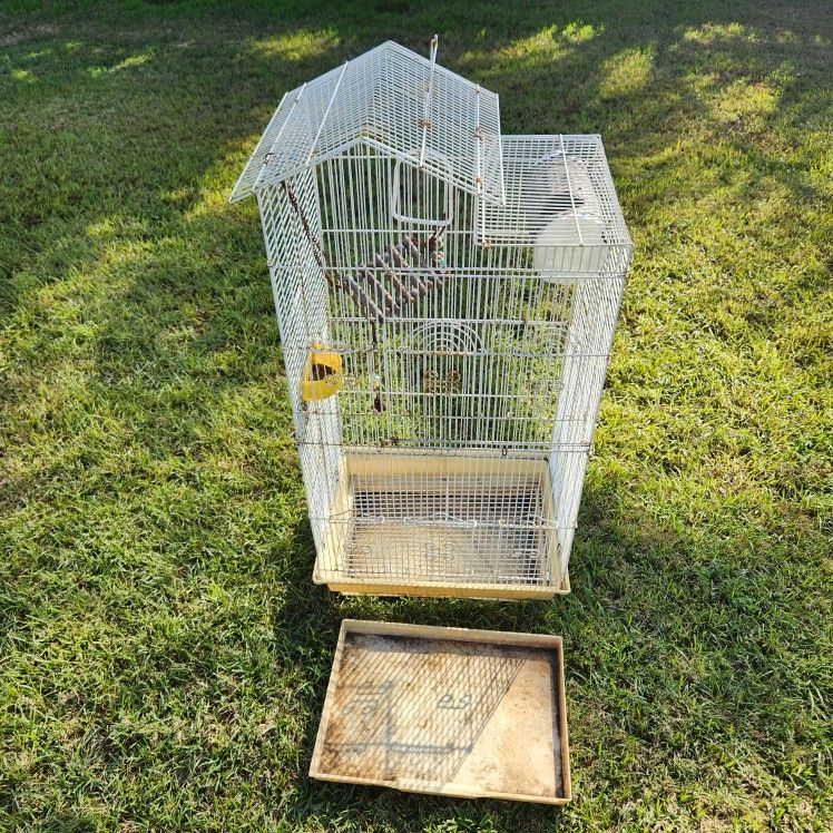 Bird Cage 