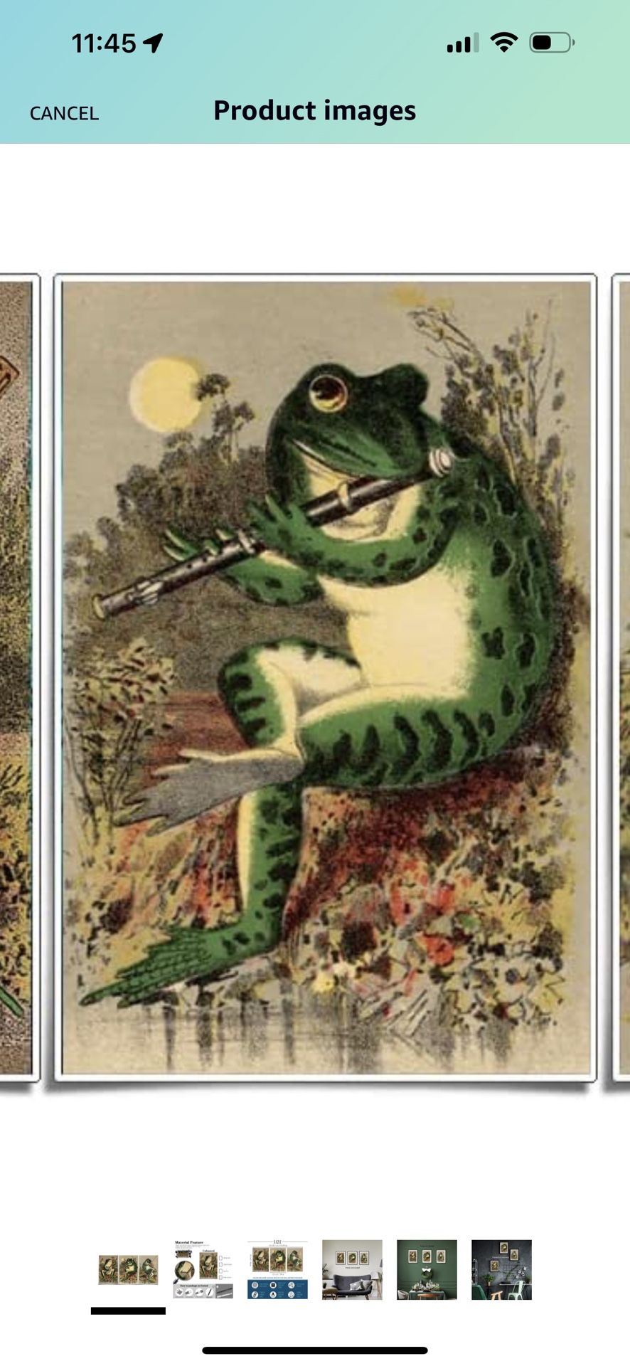 Frog Picture