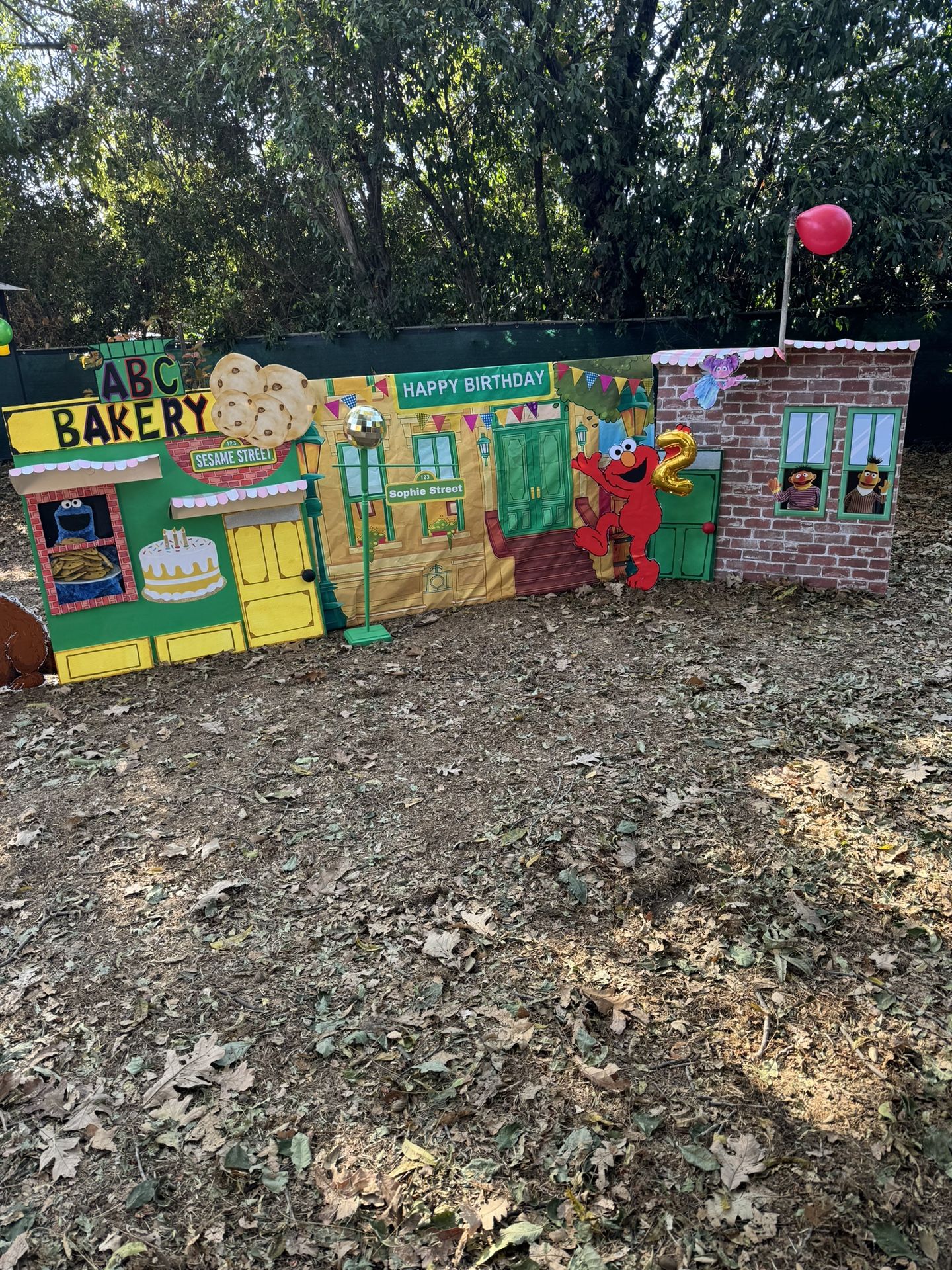 Sesame Street Birthday Decorations