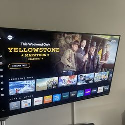 Vizio 43” T.V Plus Swivel Wall Mount 