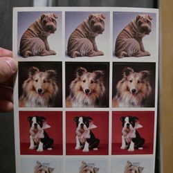 Vintage Current, Inc. Photo Jumbo Sticker Pack Animals
