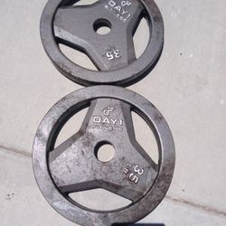 Two 35lb Olympic Weight Plates 