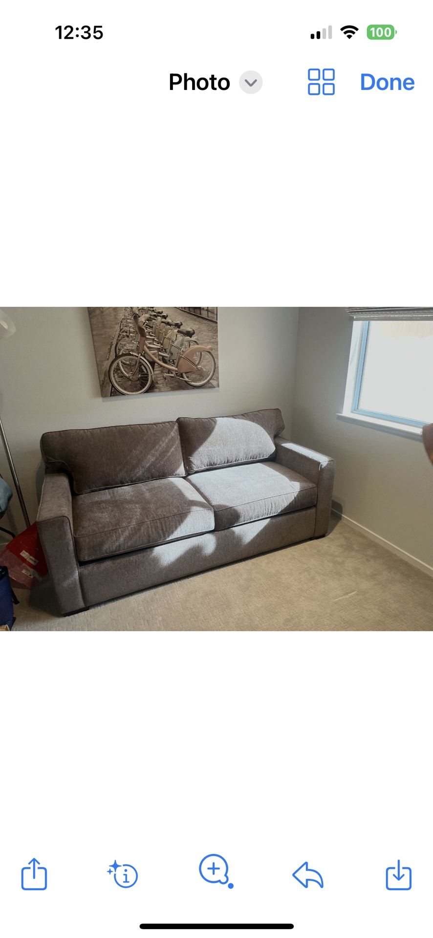 Loveseat Sofa Bed