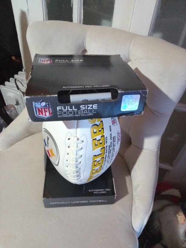 Pittsburgh Steelers Football Official NFL Championship