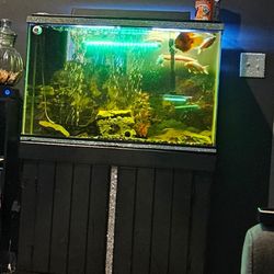 40-50 Gallon Fish Tank With Stand 