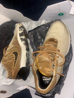Nike Shoes ( LeBron XXi QS )