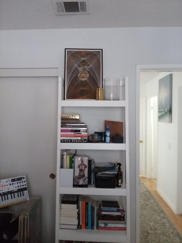 Crate & Barrel Wall Leaning Bookshelf