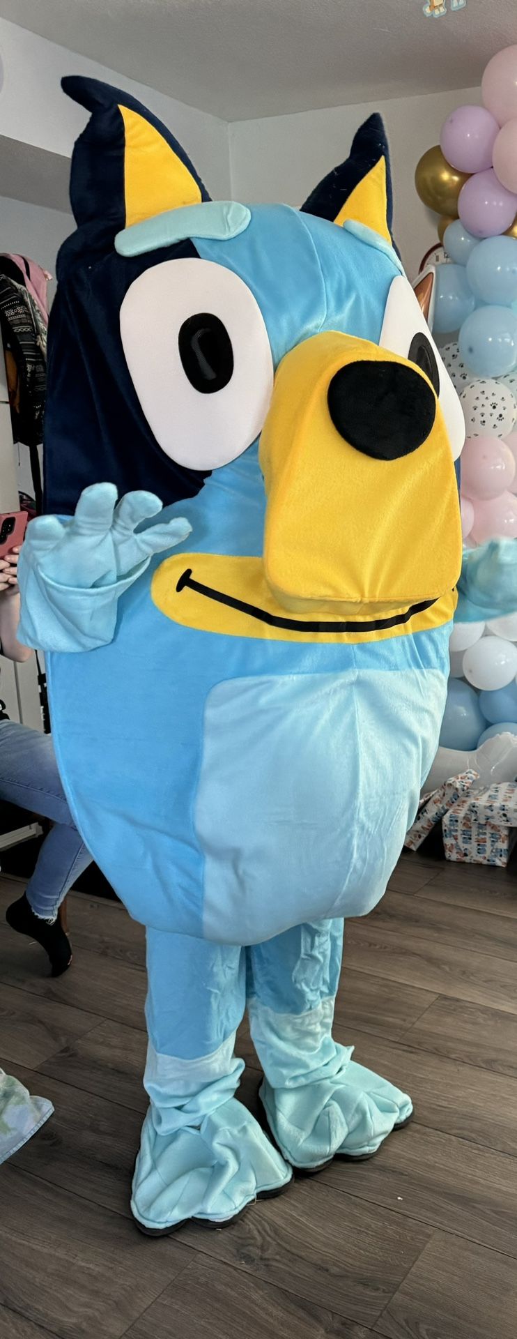 Bluey Mascot Costume