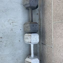 Dumbbells 50 Lb Set 