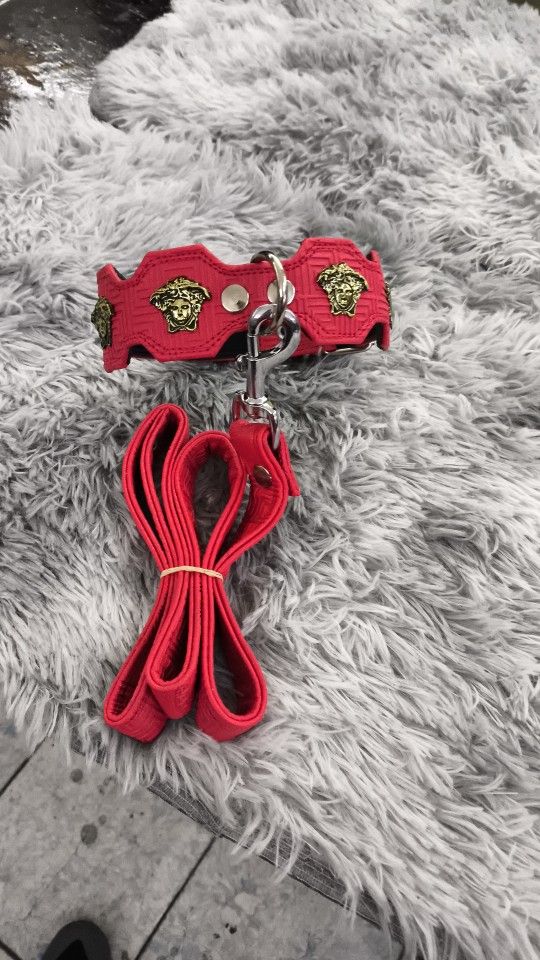 Frenchie Size Collar
