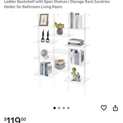 Clear Ladder Bookshelf