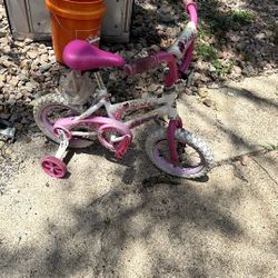 Toddler Bike With Training Wheels 