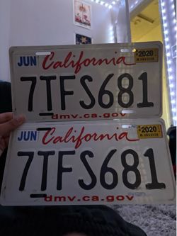 WALL DECOR LICENSE PLATES