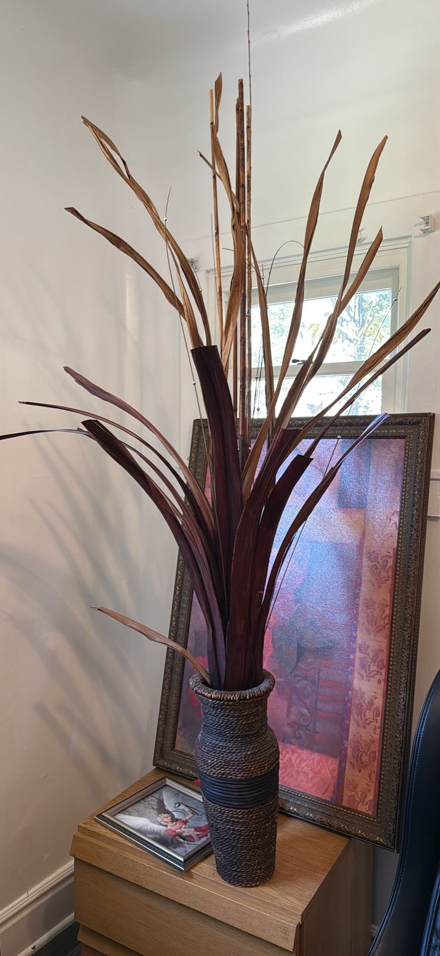 Home Decor Plant Only $10