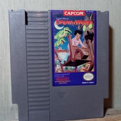 Nintendo DREAM MASTER 