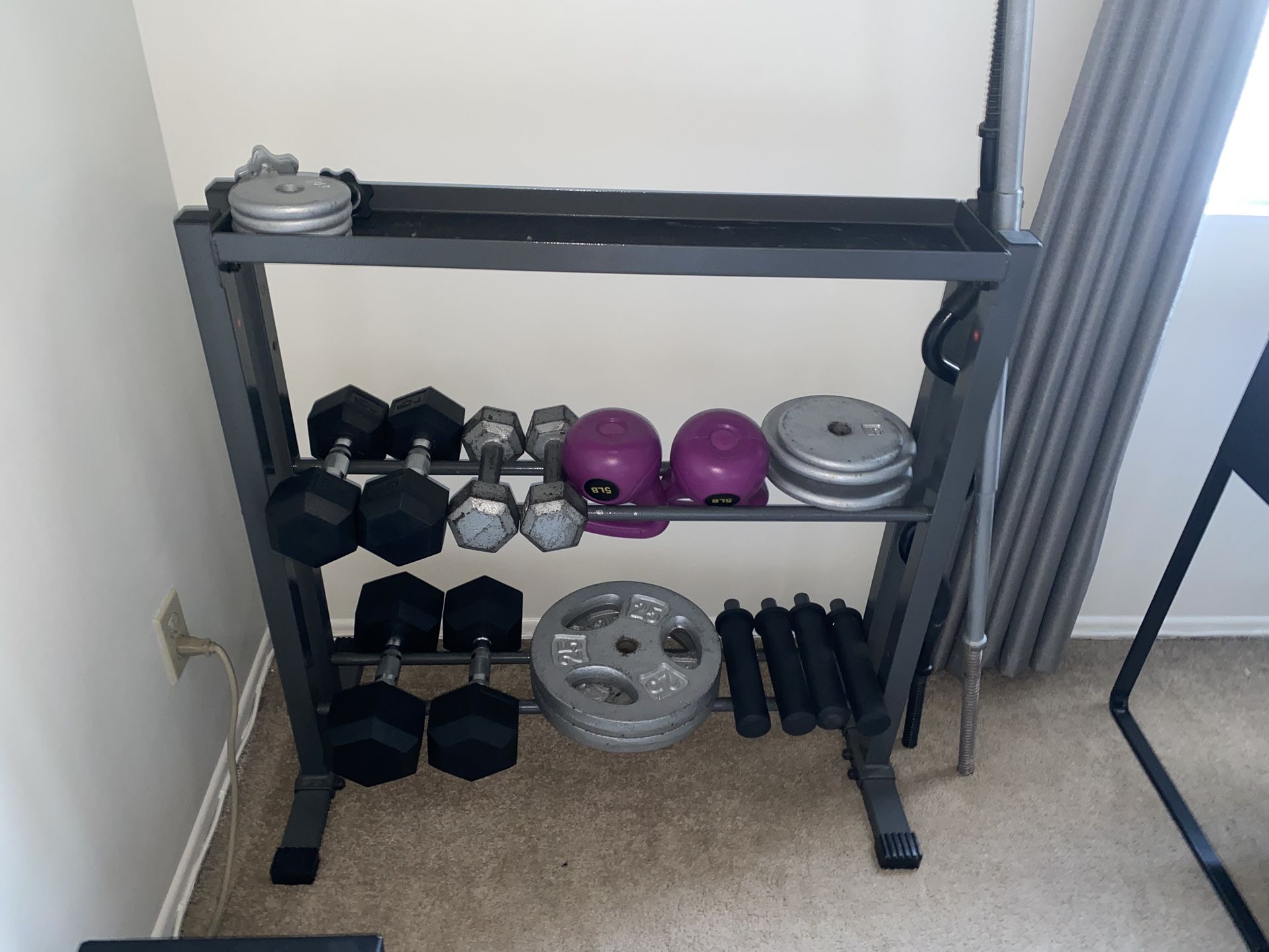 Weight Rack/ Dumbbells/ Plates/bicep Curl Bar And Barbell 