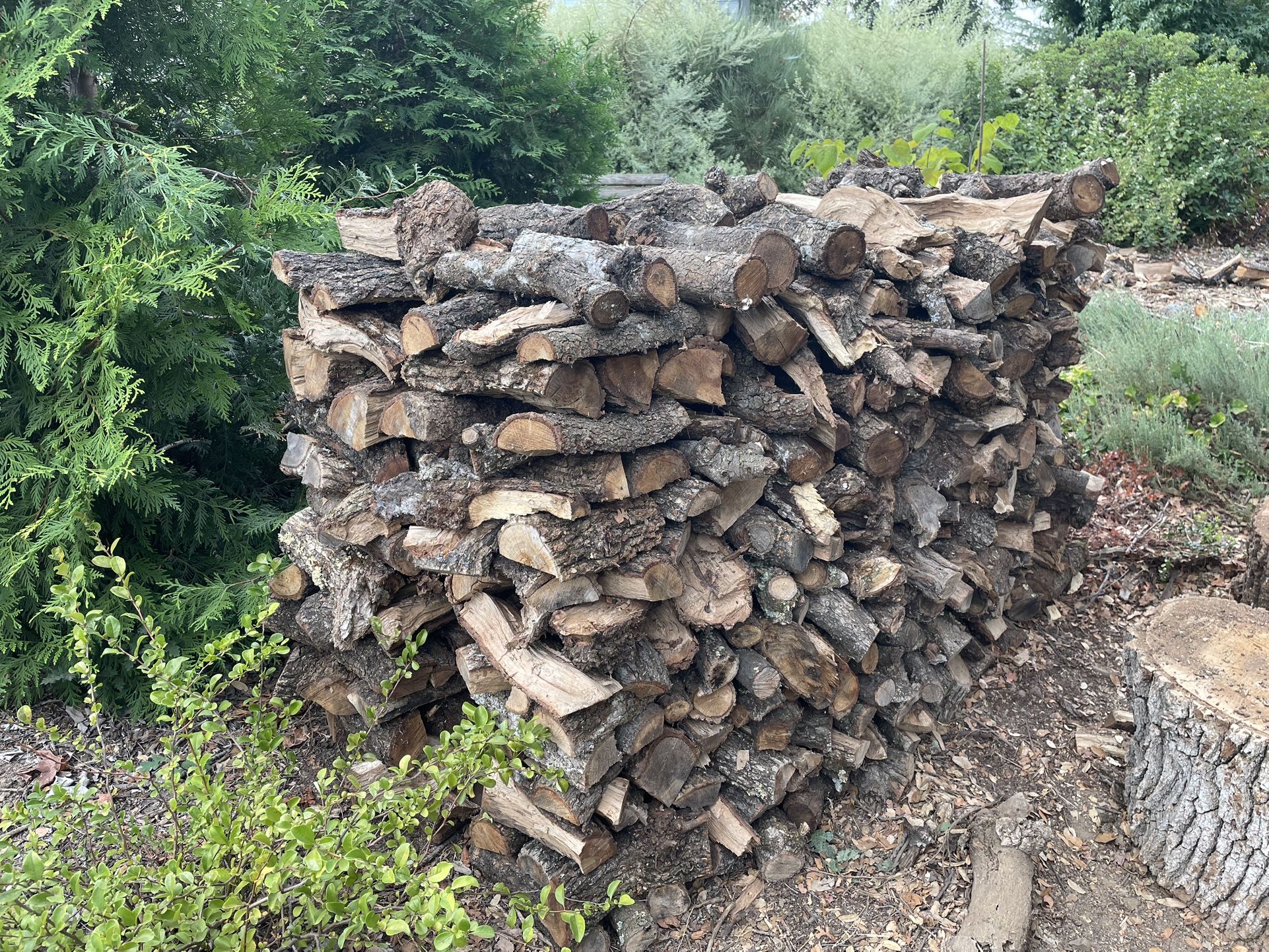Oak Seasoned Firewood