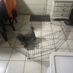 Dog Exercise Pen