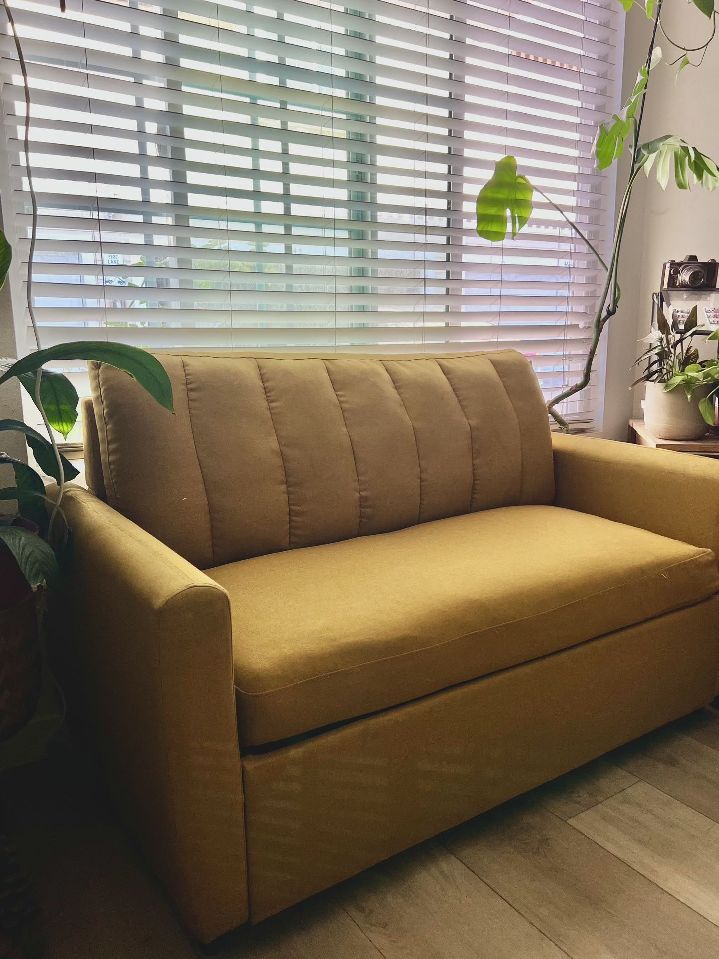 Sofa Bed