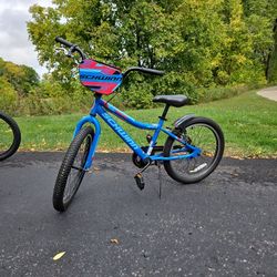 Youth Schwinn 20 Inch Bike