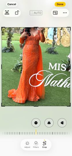 Dress  size 6