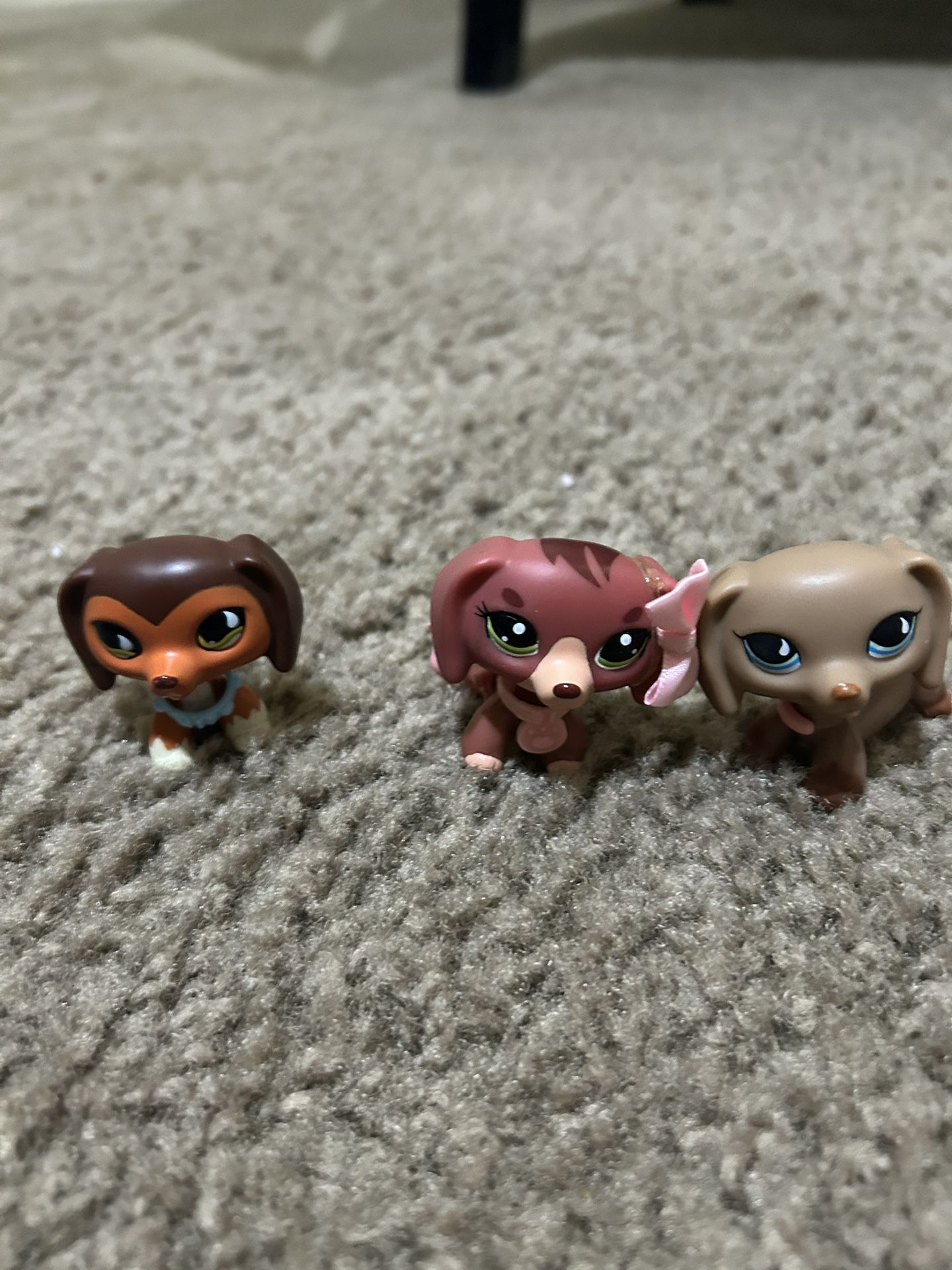 LPs Dachshunds Dogs