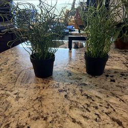 Plantitas artificiales