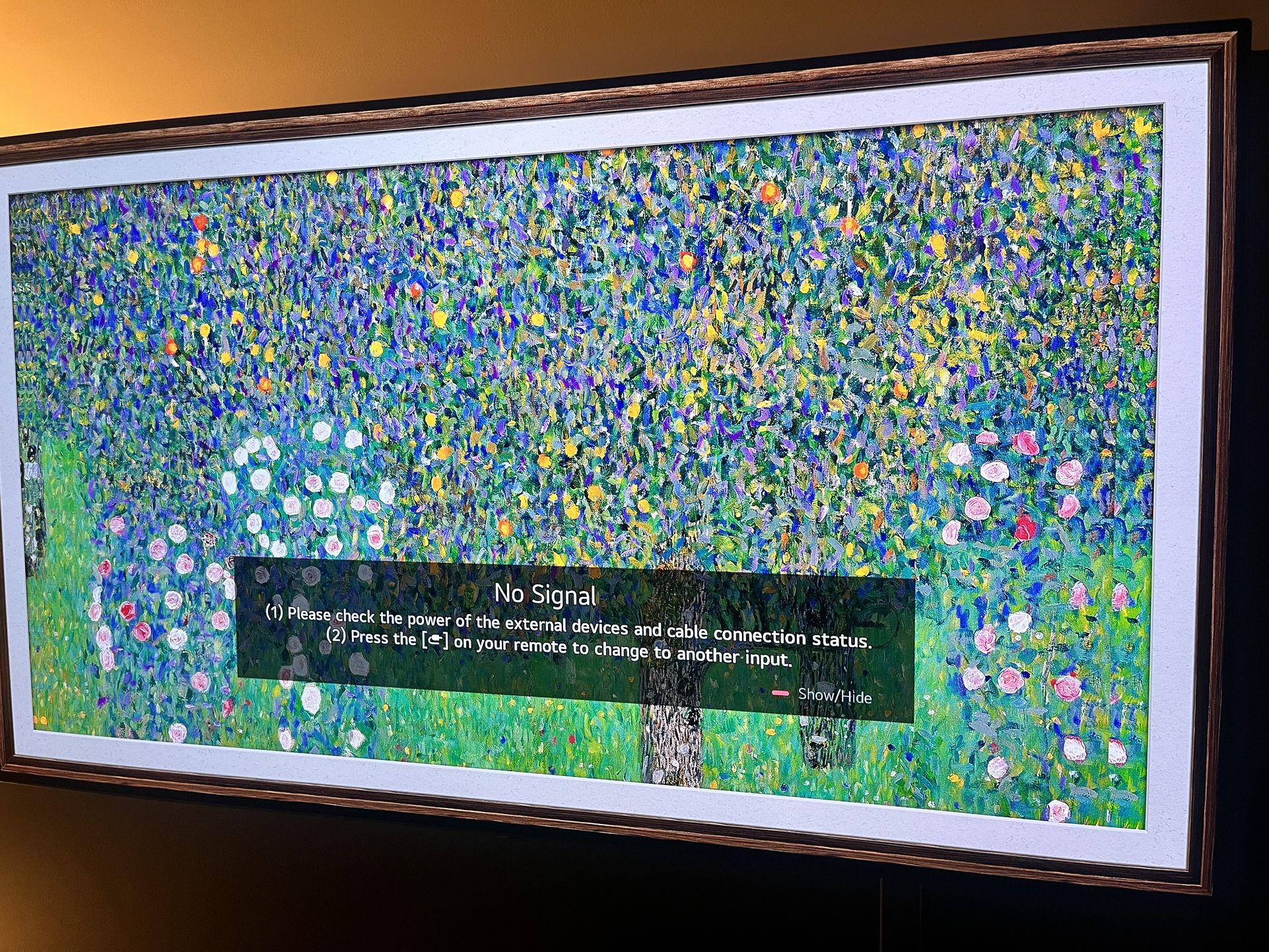 LG OLED 55 INCH Not $1