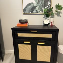 Credenza / Storage Cabinet 