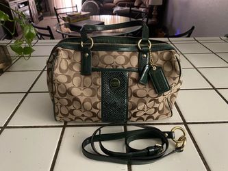 Striped python coach purse