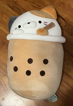 22 IN 3C Cat in Boba