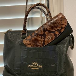 Coach Olive And Snake print Crossbody Tote W Full Size Wallet Set Like New