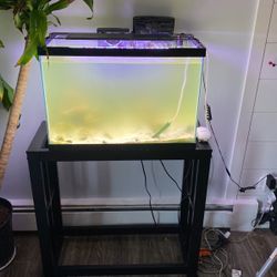 Fish Tank 29gallon 