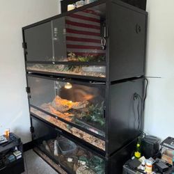  Reptile Dubia Enclosure 