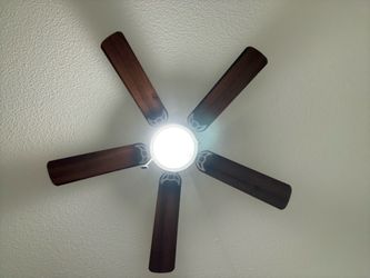 Ceiling Fan