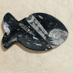 Ammonite Fossil Crystal Ashtray fish