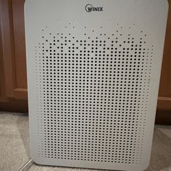 Air Purifier Winix