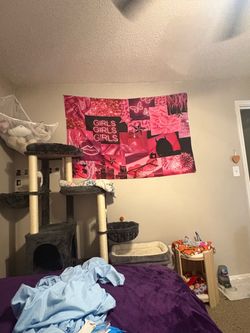 Pink tapestry