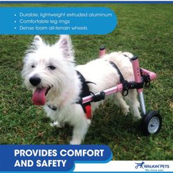 Wheel Chair Dog
