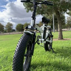 Electric Fat Tire Bike