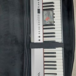 30$ Gig Skins Digital Piano Travel Case Handles Wheels And Shoulder Straps,  Storage Front And Rear 