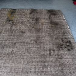 Steam Carpet Cleaning